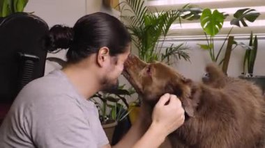 Neşeli adam yeşil bitkilerle dolu kapalı bir alanda kahverengi köpeğinden sevgi dolu yalamalar alır..