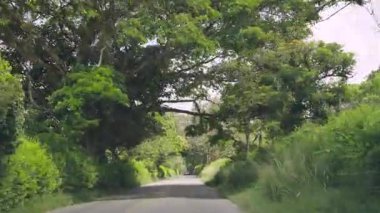 Yemyeşil bitki örtüsü ve kırsal kesimde güneşli bir günde geniş ağaçların gölgesinde dolambaçlı kırsal yolda araba sürüyorum..