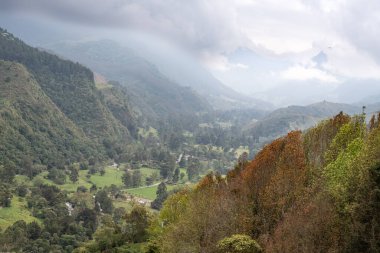 Bereketli Dağ Vadisi Pusları ve Yoğun Ormanları. Yoğun Ormanlı Sisli Dağ Vadisi
