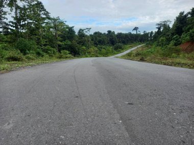 Yol boyunca ağaçların manzarası olan asfalt yolda.