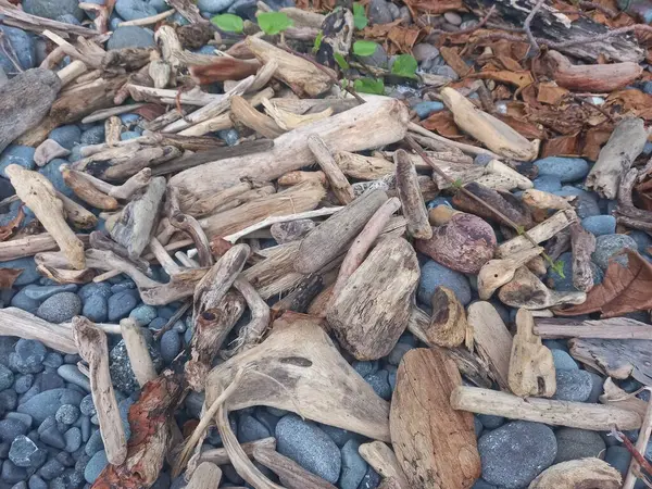 stock image landscape background of dry wood and rocks on the beach