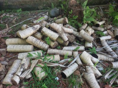 Palmiye ağacından kesilmiş tahta blok