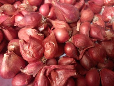 Kırmızı soğan yığını. Kapatın, tarım ürünleri.