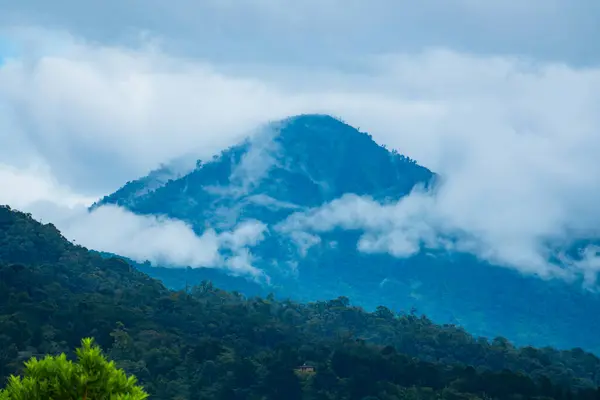 Dağları çevreleyen yoğun ormanı sis kaplıyor.