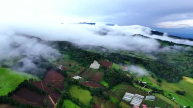 Şehrin havadan görünümü