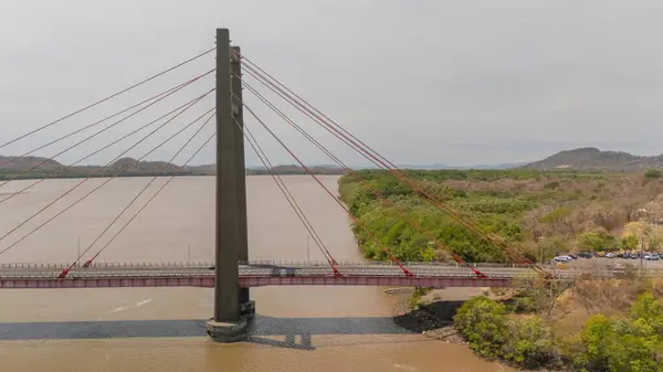 Yeşil ormanlarla çevrili modern köprünün insansız hava aracı görüntüleri.