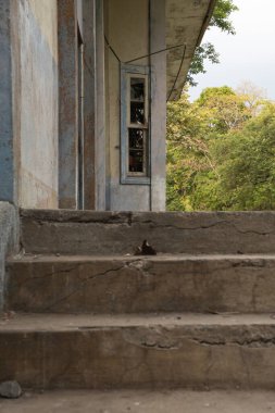 Çatlak Beton ve Terk Edilmiş Demiryolu Hattı