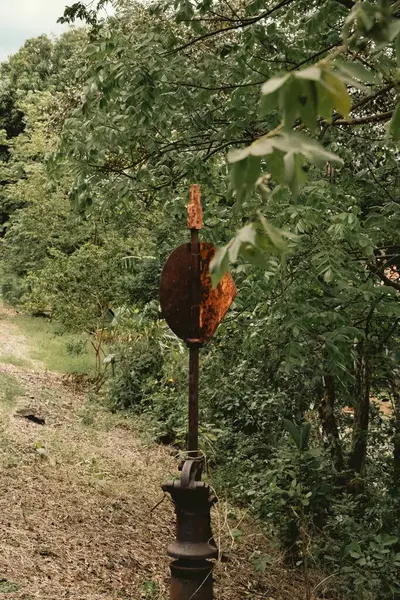 Rusty Demiryolu Aşırı Gelişmiş Orman Yolu 'nda Geçiş Yap