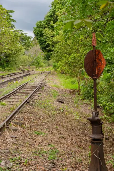 Paslı Demiryolu Kolu Yaban Yaprakları Arasında