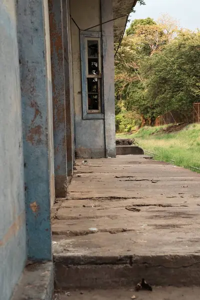 Çürüyen İstasyon ve Aşırı Gelişmiş Demiryolu Rayları