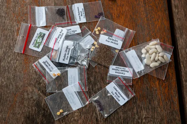 stock image Vegetable Seeds in Seed Packages of Hobby Gardening Plants Flat Lay on Wooden Table