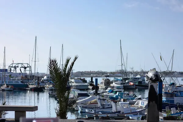 İspanya 'da Kanarya Adaları Furteventura' da Yat, Balıkçı tekneleri ve balıkçı tekneleri bulunan liman.