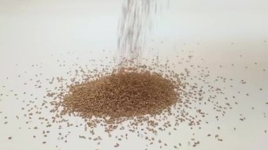 Çerçevenin ortasındaki temiz beyaz zemine düşen anason tohumları, bitkiler ve baharatlar kapanıyor..