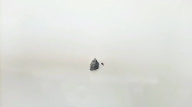 Beyaz arkaplana dökülen siyah krem dokusu, şampuan, temizleyici, kozmetik veya cilt ürünü.