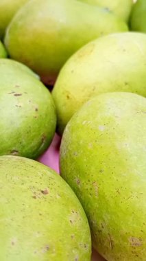 Taze yeşil mango meyveleri döner, tropikal meyveler, olgunlaşmamış mangolar turşu için, dikey toka