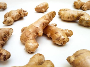 Beyaz zemin üzerinde taze zencefil kökleri veya zencefil rhizomu