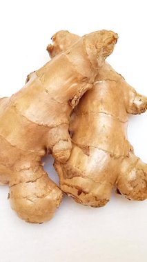 Taze zencefil rhizomu veya zencefil kökü izole edilmiş beyaz arkaplan, üst görünüm, dikey klipste dönüyor