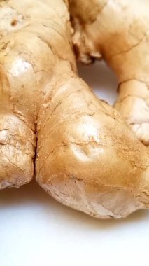 Beyaz zemin üzerinde taze zencefil kökleri veya zencefil rhizomu hareket ediyor, yakın plan, dikey görünüm