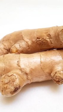 Taze zencefil rhizomu ya da zencefil kökü izole edilmiş beyaz arkaplan ve dikey görünümde dönüyor