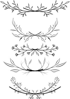 Çiçeklerin vektör seti ve kaligrafik tasarım elementleri bırakıyor.