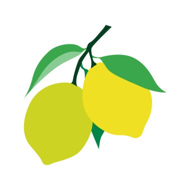Canlı Tasarımlar İçin Taze Limon Vektörü İllüstrasyonu