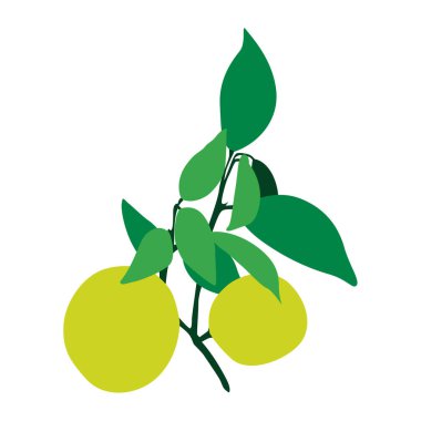 Canlı Tasarımlar İçin Taze Limon Vektörü İllüstrasyonu