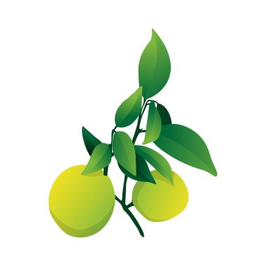 Canlı Tasarımlar İçin Taze Limon Vektörü İllüstrasyonu