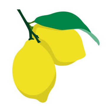 Canlı Citrus Grafikleri için Taze Limon Vektör İllüstrasyonu