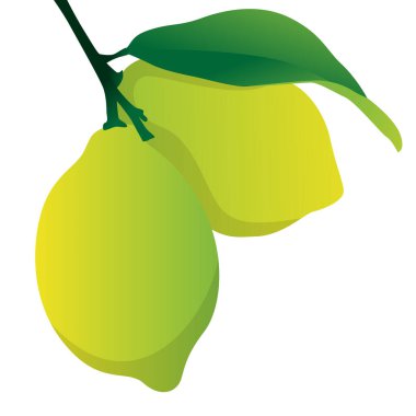 Fresh Lemon Vector Illustration for Vibrant Citrus Graphics clipart