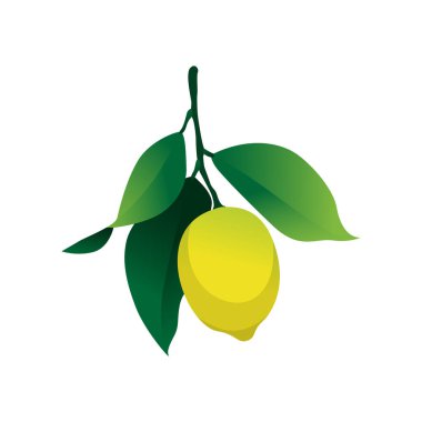 Canlı Citrus Grafikleri için Taze Limon Vektör İllüstrasyonu