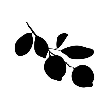 Beyaz Arkaplanda Limon Meyvesi Silueti