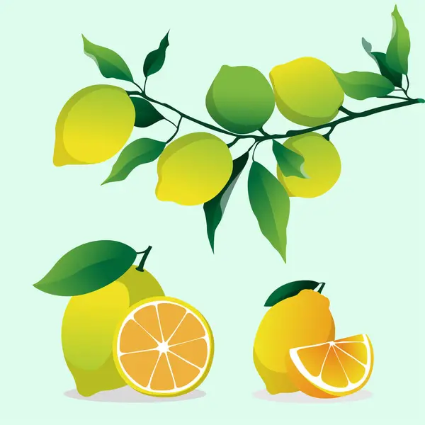 stock vector Bright Yellow Lemon Vector Art for Fresh Designs