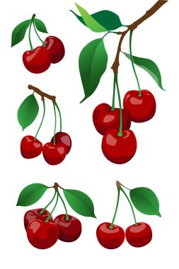 Grafik Tasarım için Kiraz Meyvesi Vektörü Varlığı