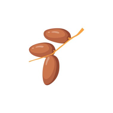 Ramazan Meyvesi Vektör İllüstrasyonu