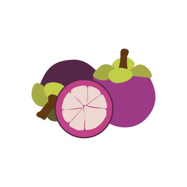 Egzotik Mangosteen Meyvesi, Taze Tropikal Lezzet