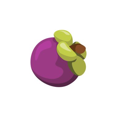 Egzotik Mangosteen Meyvesi, Taze Tropikal Lezzet