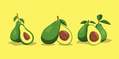 Taze Avokado Meyve Tasarımı Vektör İllüstrasyonu