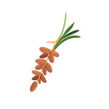 Lezzetli Meyveler, Ramazan iftarı için gereklidir.