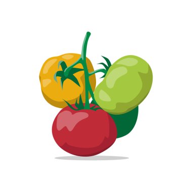 Sunlit Garden 'da Taze Domatesler Üzüm Üzümünde