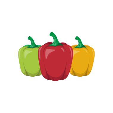 Taze Çan Biberlerinin Renkli Vektör İllüstrasyonu