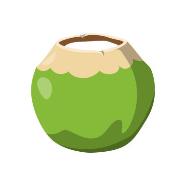 Genç hindistancevizi, taze tropikal içecek lezzeti.