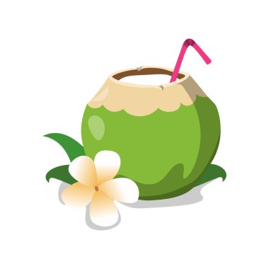 Genç hindistancevizi, taze tropikal içecek lezzeti.