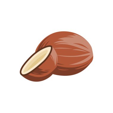Olgun Hindistancevizi, Geleneksel Mutfağın Gerekli İçi