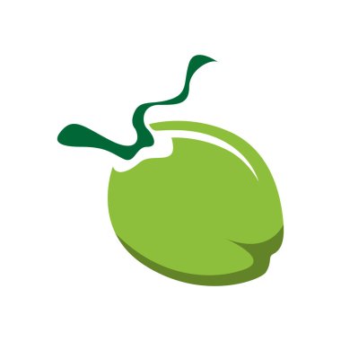 Genç hindistancevizi, taze tropikal içecek lezzeti.