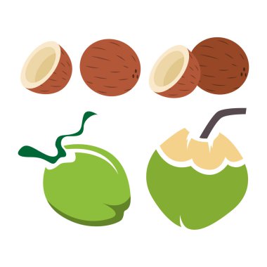 Tasarım Kullanımı için Tropikal Hindistan Cevizi Vektörü İllüstrasyonu