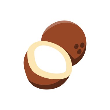 Olgun Hindistan cevizi palmiyesi Tropikal Meyve Simgesi