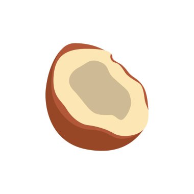 Olgun Hindistan cevizi palmiyesi Tropikal Meyve Simgesi