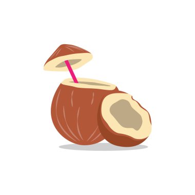 Olgun Hindistan cevizi palmiyesi Tropikal Meyve Simgesi