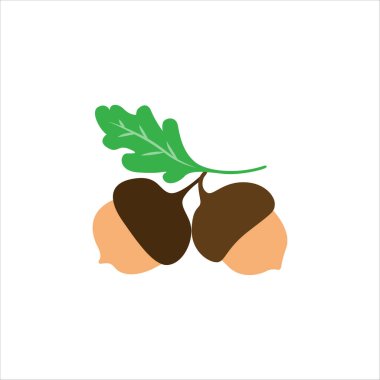 Doğa Tasarımları için Gerçekçi Meşe Palamudu Vektörü İllüstrasyonu