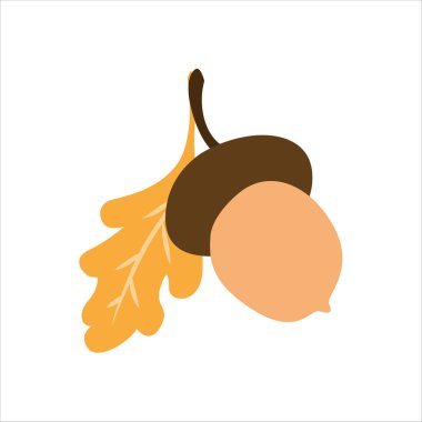 Orman zemininde meşe tohumu tohumu